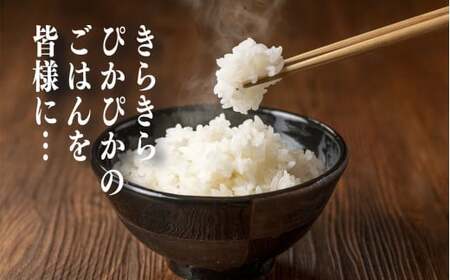 令和7年産 コシヒカリ 精米 20kg 奈良県産 | お米 ライス  コシヒカリ 奈良県 平群