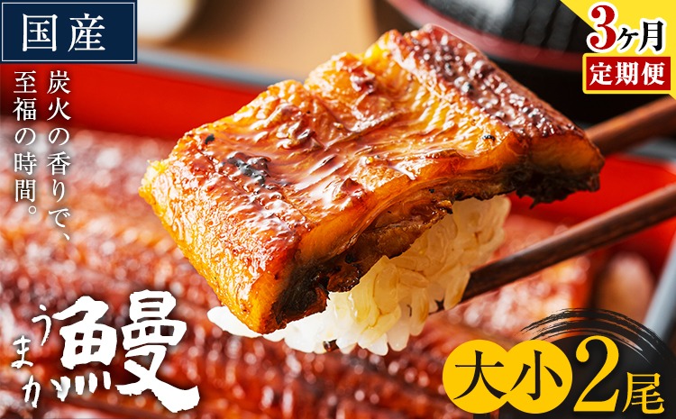 【3ヶ月定期便】うなぎ 大小 2尾  国産 鰻 真空パック おすすめ うなぎの蒲焼 《お申込み翌月から出荷》 ふるさとのうぜい 特上 簡易包装 ウナギ unagi 蒲焼 秋 冬 旬 配送時期 冷凍---mifune_lcl_1336_mo3---