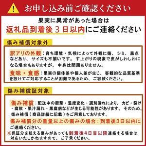 【先行予約】訳あり 愛媛みかん 小玉 10kg 傷み補償 500g 清家ばんかんビレッジ