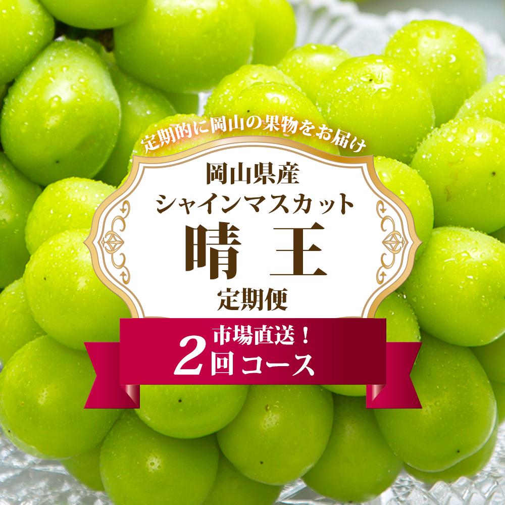 【ふるさと納税】ぶどう 定期便 2026年 シャイン マスカット 晴王 各月2房（1房600g以上） 2回コース マスカット ブドウ 葡萄 岡山県産 国産 フルーツ 果物 ギフト | フルーツ 果物 くだもの 食品 人気