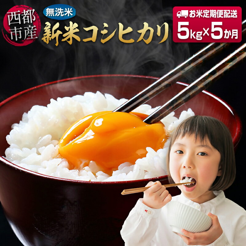 【ふるさと納税】【定期便】無洗米5kg×5回 新米コシヒカリ 先行予約 宮崎県産 ふるさと納税 定期便 お楽しみ こしひかり 精米＜8.5-7＞