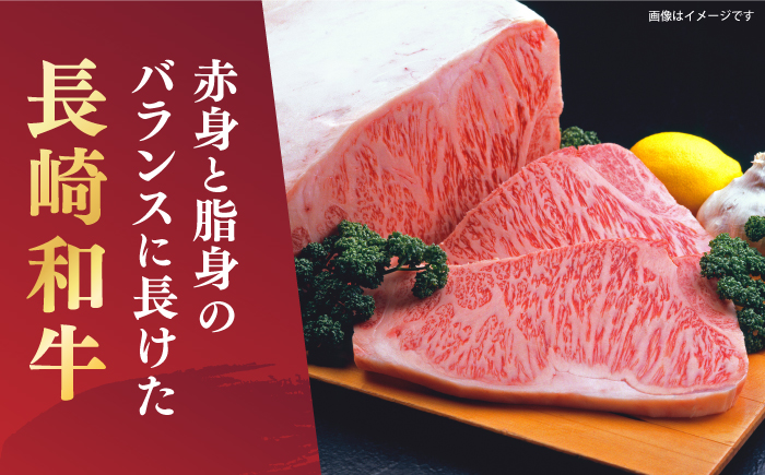 【A4～A5】 長崎和牛 モモ ステーキ 約500g（100g×5p）＜株式会社MEAT PLUS＞ [CFT013] 長崎 和牛 国産牛 ブランド牛 ステーキ モモステーキ 小分け