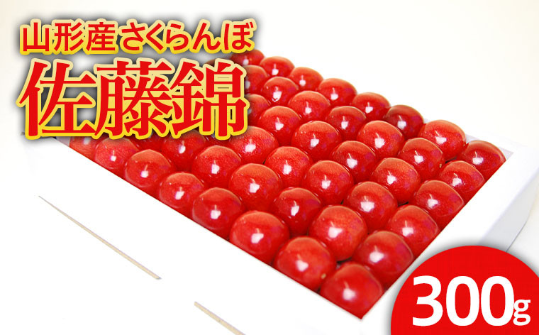 
                  山形産 ハウス さくらんぼ 佐藤錦 300g 鏡詰 Lサイズ以上 【令和9年産先行予約】FS24-545くだもの 果物 フルーツ 山形 山形県 山形市 2026年産
                