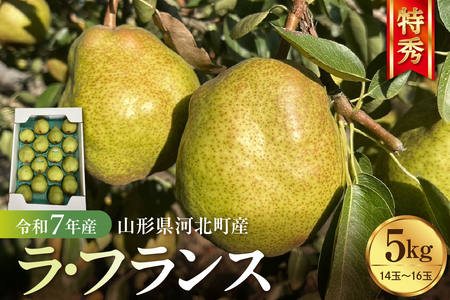 【令和8年産】食べ頃がわかる！ 洋梨「ラ・フランス」 特秀 約5kg 山形県河北町産 【河北町観光物産協会】　ka002-003-r8