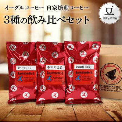 ふるさと納税 高山市 【豆でお届け】自家焙煎コーヒー 3種の飲み比べセット 100g×3袋 GT001