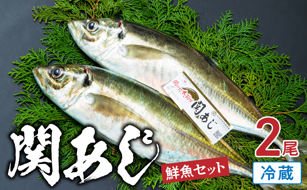 
            関あじ（鮮魚セット）2尾 ブランド魚 アジ 鯵 関アジ 新鮮 天然 生魚 国産 大分産 寿司 刺身 刺し身 海鮮丼 E04023
          