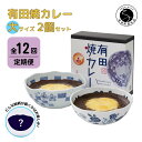 【ふるさと納税】【12回定期便】有田焼カレー(大)【器いろいろ】2個セット JR九州駅弁グランプリ テレビ番組全国駅弁ランキング1位 F180-1