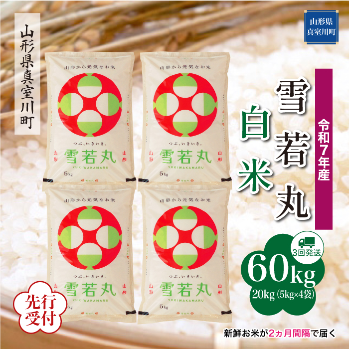 ＜令和7年産米先行受付＞ 真室川町産 雪若丸 【白米】60kg定期便(20kg×3回)　配送時期指定できます！