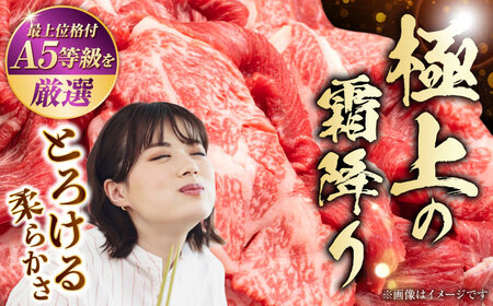 【全3回定期便】【訳あり】熊本県産 A5等級 和王 赤身肉 小間切れ 約400g×2P 計約2.4kg【帝神志方ミート 株式会社】[AYCH081]