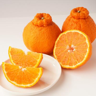 ふるさと納税 東かがわ市 【発送月固定定期便】東かがわ市フルーツ定期便全4回