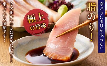【12月発送】北海道 知床羅臼産 天然ぶり刺身 750g(250g ×3パック) 魚 海産物 魚介 魚介類 ブリ 鰤 刺身 ご飯のお供 冷凍 生産者 支援 応援