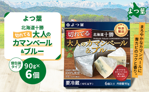 北海道十勝産 よつ葉 切れてる大人のカマンベール&ブルー 6個【配送不可地域：離島】【1550077】