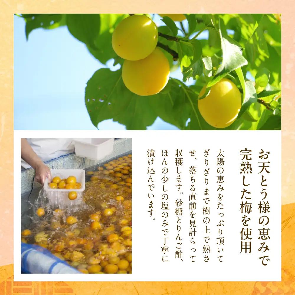梅シロップ 「梅しづく」 290ml×6袋 （3倍から5倍希釈） 梅