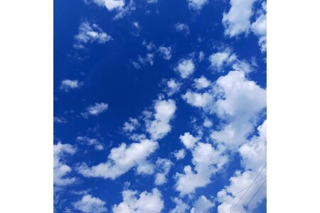 海の京都　学校給食の廃食油からリサイクルしたEM菌入石けん　/　粉石けん200g×4袋＋固形石鹸5個　