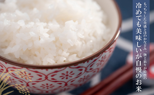 研ぐお米 元気つくし2kg