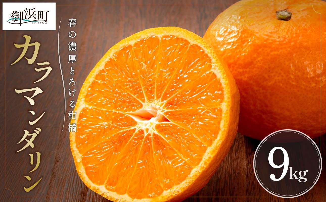 【2026年発送 先行予約品】