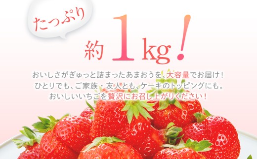  【2027年2月～2027年3月順次発送】あまおう  約250g×4パック