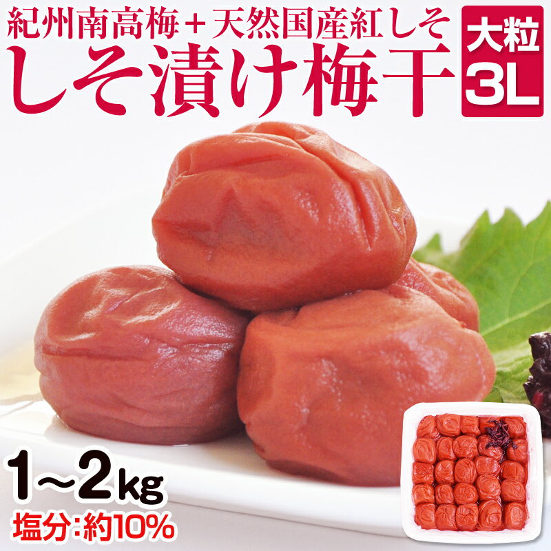 しそ漬け梅干(紀州南高梅)1kg・2kg 大粒 3L以上 和歌山県産 梅干し うめぼし ふるさと納税 しそ梅 人気 1キロ 2キロ 送料無料 減塩