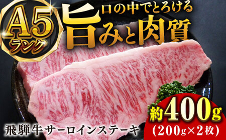 A5等級飛騨牛サーロインステーキ400g 和牛 BBQ 霜降り 岐阜市/小川ミート [ANAJ001]