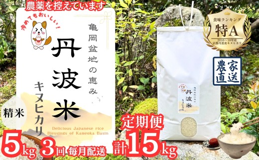 【定期便】令和8年産 新米 京都丹波産 キヌヒカリ 5kg×3回 計15kg ≪亀岡盆地の恵み 農薬を控えています 精米したてをお届け 自家栽培米 生産農家 直送 白米 米 精米≫ ※2026年9月～発送