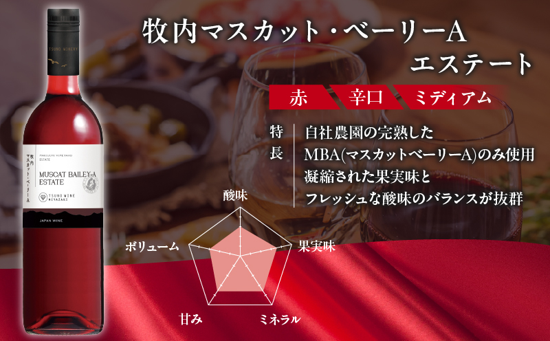 【数量限定】牧内マスカット・ベーリーAエステート 2本セット_T014-056【人気 ギフト 飲料 お酒 BBQ お土産 限定品 贈り物 送料無料 プレゼント ワイン 酒 アルコール 国産】