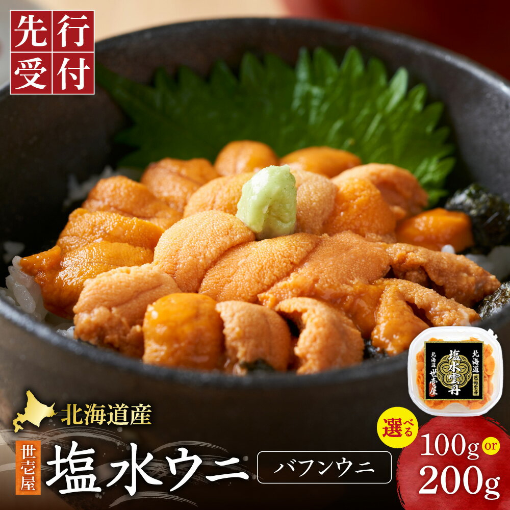 【ふるさと納税】 【先行予約】 北海道産 塩水 バフンウニ 【 選べる 容量 】 100g 200g ウニ うに 雲丹 うに専門店 世壱屋 無添加 ミョウバン不使用 極上 海鮮 旨み 濃厚 おつまみ 水産 海産 ギフト お取り寄せ 北海道 札幌市