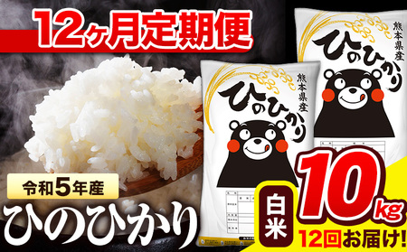 令和5年産 ひのひかり 【12ヶ月定期便】 白米 《お申し込み月の翌月から出荷開始》 10kg (5kg×2袋) 計12回お届け 熊本県産 単一原料米 ひの 熊本県 氷川町