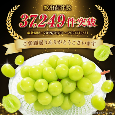 フルーツ王国山梨産厳選 シャインマスカット   2房 (1kg以上)【配送不可地域：離島】