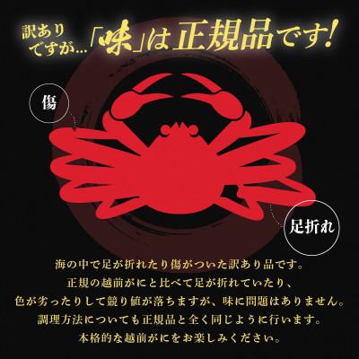 ふるさと納税 越前町 【訳あり】越前がに 浜茹で 大サイズ(生で約0.9〜1kg)× 1杯 約2人前【12月より順次発送】 |  | 01