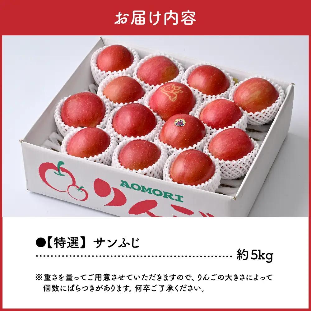 りんご　5kg【2026年11月下旬発送】青森産りんご 春秋園の「特選」大玉完熟サンふじ
