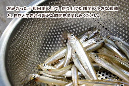 Enjoyとわだこ ワカサギ釣りドーム船 乗船体験 親子ペア（大人1枚+小人1枚）湖の上で過ごす特別な時間 ＜レターパックプラス＞