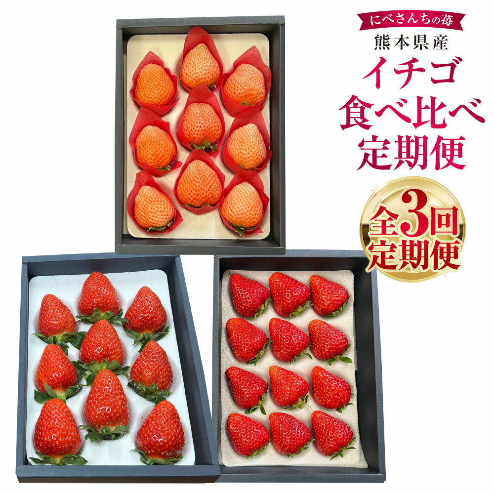 【ふるさと納税】【3か月連続定期便】にべさんちの苺 熊本県産 イチゴ 食べ比べ 定期便 かおり野 桃薫 空音 全3回 3ヶ月 定期配送 果物 くだもの 果実 フルーツ 冷蔵 九州 熊本県 送料無料 【2026年1月下旬発送開始】
