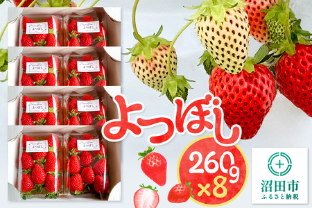 《2025年1月以降発送》関東限定配送 イチゴ よつぼし 約260gパック×8