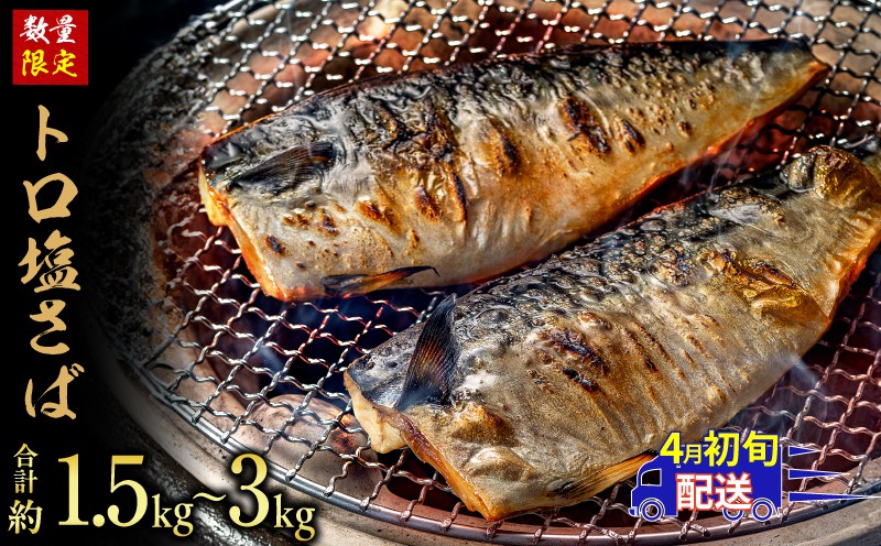 
                  訳あり トロ 塩サバ フィレ 約1.5kg ～ 約3kg 鯖 さば わけあり 切り身 切身 塩さば 塩鯖 フィレ フィーレ 魚貝 魚介 人気 冷凍 冷凍食品 大容量 海鮮 家庭用 レシピ おかず おつまみ 惣菜 弁当 不揃い 規格外 傷 味噌煮 竜田揚げ 南蛮漬け グルメ 贈答 贈物 ギフト 長期保存 小分け 炊き込み お取り寄せ ふるさと納税 ふるさと納税鯖 送料無料 千葉県 銚子市 飯田商店
                