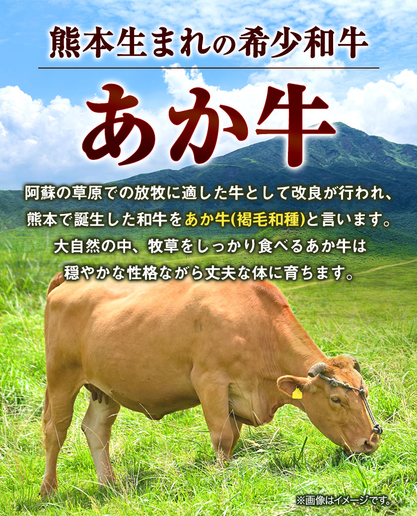 あか牛 白ホルモン 500g 五右衛門フーズ 《60日以内に出荷予定(土日祝除く)》 熊本県 大津町 牛肉 肉 国産 熊本県産 ブランド牛 絶品 贅沢 高級 あか牛 ホルモン もつ モツ もつ鍋
