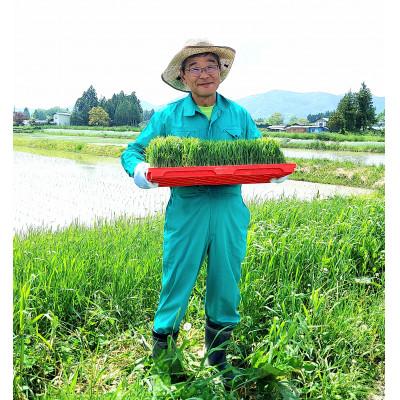 ふるさと納税 花巻市 【令和7年産】銀河のしずく 厳選プレミアム　玄米 2kg タカハシ農園 |  | 02
