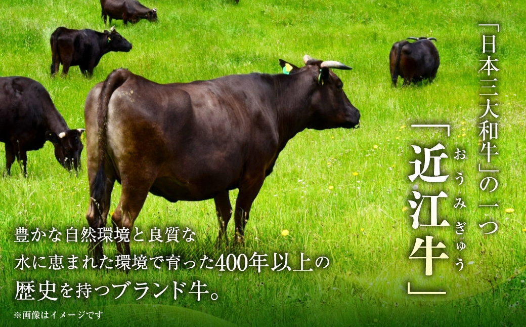 近江牛ロースステーキ540g（180g×3枚）