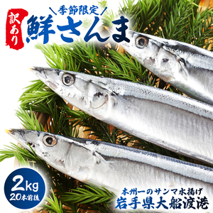 【期間限定】訳あり 鮮さんま 2kg 20本前後（1尾 約100g） 岩手大船渡産 さんま 秋刀魚 サンマ 新鮮 期間限定 鮮魚 鮮さんま（ 秋刀魚 ｻﾝﾏ 訳ｱﾘ 秋刀魚 ｻﾝﾏ 訳ｱﾘ 秋刀魚 ｻ