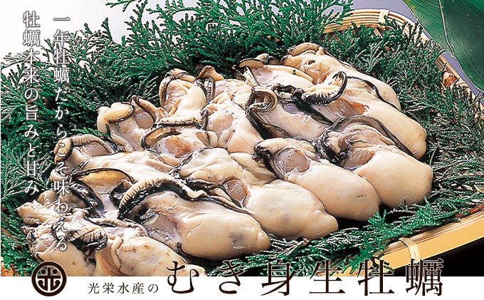 
牡蠣 坂越かき 剥き牡蠣 500g×2[ 生牡蠣 かき カキ むき身 剥き身 生食 ]
