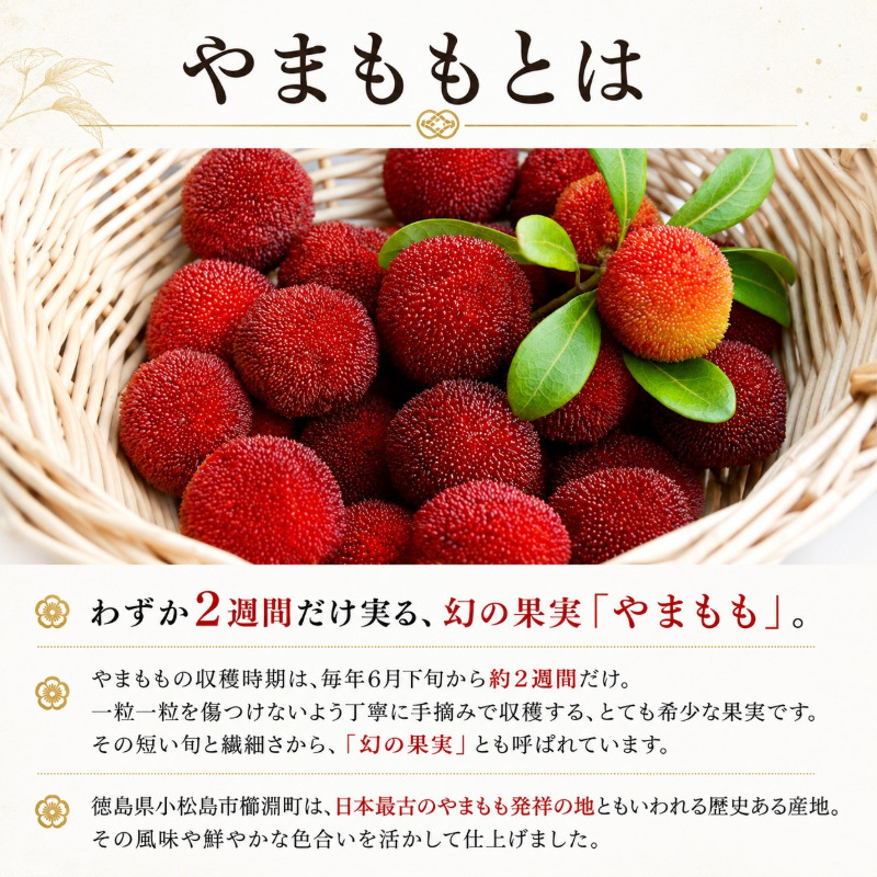 やまもも ピューレ＆ジュース 220ml × 2本セット | ヤマモモ 100%使用 ジャム スイーツ ソース ドリンク じゅーす ぴゅーれ 飲料 飲み物 調味料 果物 国産 フルーツ デザート 山桃