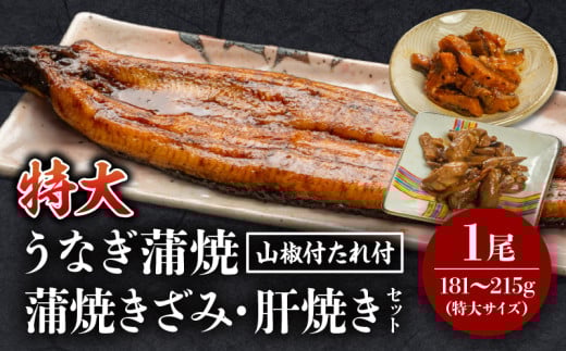 《2025年6月発送予定》国産うなぎ蒲焼(特大サイズ)・きざみ・肝焼きセット_M069-014_01-jun