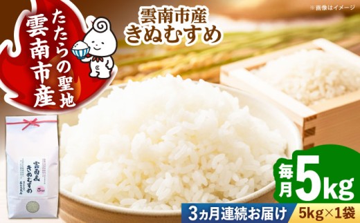お米【全3回定期便】雲南市産きぬむすめ 5kg 米 こめ おこめ はくまい 白米 ライス 精米 コメ 特A 5キロ 使いやすい ごはん ご飯 おにぎり お弁当 朝ごはん 便利 朝食 食卓 主食 グルメ おいしい つや あっさり 飽きない もっちり 食感 国産 新生活 一人暮らし 家族 ご当地 ごはんソムリエ おすすめ 人気 定期便島根県雲南市/有限会社藤本米穀店 [AIDB102]