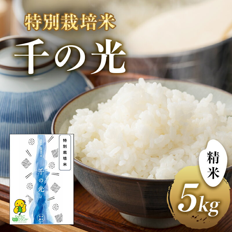 【ふるさと納税】特別栽培米 「 千の光 」　( 精米 )　5kg　米 お米 ごはん 特別栽培 兵庫県 洲本市 淡路島 鮎原塔下　お届け：2026年9月末まで順次発送