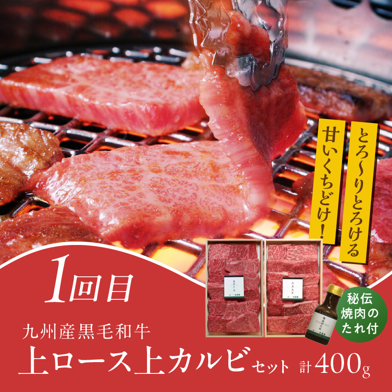 【定期便 5回】肉好き必見！肉づくし定期便 _ 定期便 5回 お届け 肉づくし 和牛 モモ カタ すきしゃぶ 赤身 カルビ ロース ヒレ 馬刺し 手捏ね ハンバーグ 煮込み 和風 きのこクリームソース
