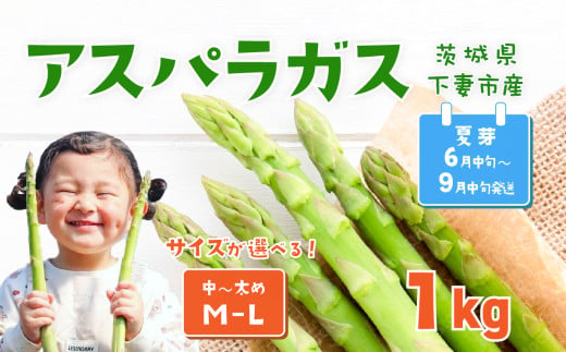 朝採りアスパラガス 1kg M ～ Lサイズ ハウス栽培 夏芽 26年6月下旬 ～ 9月発送 【 先行予約 グリーンアスパラ 野菜 サラダ 農家直送 産地直送 】 夏芽 M-L 1kg | 8,000