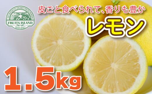 【ふるさと納税】 【先行予約 10月上旬～発送予定】 レモン 約 1.5kg 12個 7000円 檸檬 フルーツ 果物 くだもの 柑橘 国産 新鮮 減農薬 ノンワックス 防腐剤 不使用 ビタミンC 美容 美肌 健康 皮ごと みかん 蜜柑 さっぱり 料理 産地 直送 愛媛県 愛南町