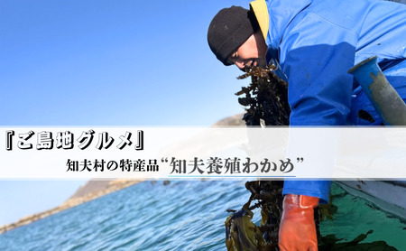 【知夫里産】養殖わかめ　3袋セット　国産　島根県　隠岐　わかめ　