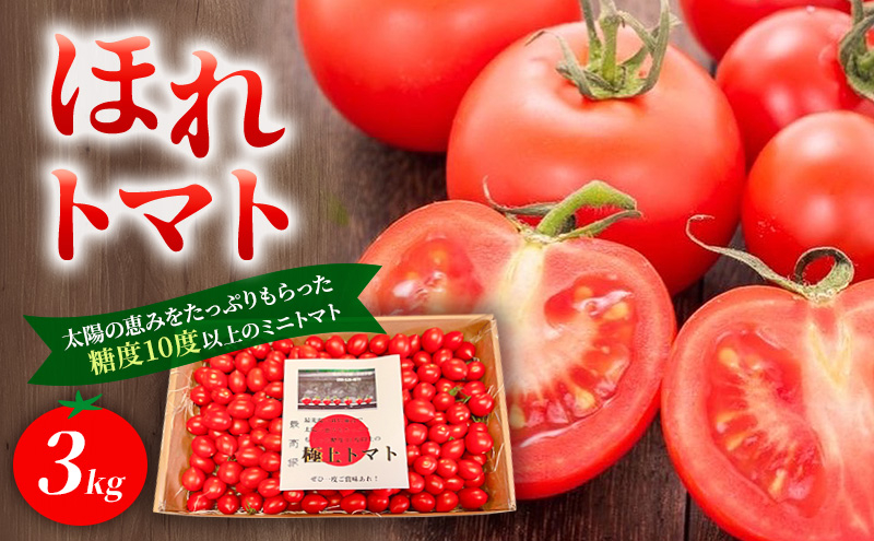 
                  高糖度「ほれトマト」3kg　極上 ミニトマト 糖度10度以上 | トマト とまと ミニトマト フルーツトマト 野菜 やさい 人気 新鮮 産地直送 甘い 高糖度 完熟 ジューシー 食べやすい ※2026年6月～発送
                