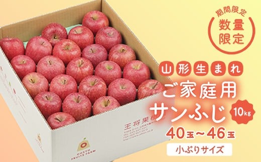 《先行予約 2026年度発送》【王将果樹園】ご家庭用サンふじ 10kg  りんご リンゴ 林檎 デザート フルーツ 果物 くだもの 果実 食品 山形県 FSY-2690