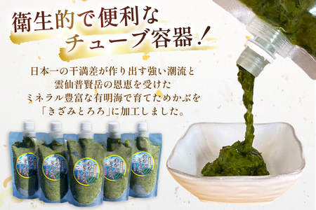 BE140 有明海産 無添加めかぶとろろ 250g×5パック